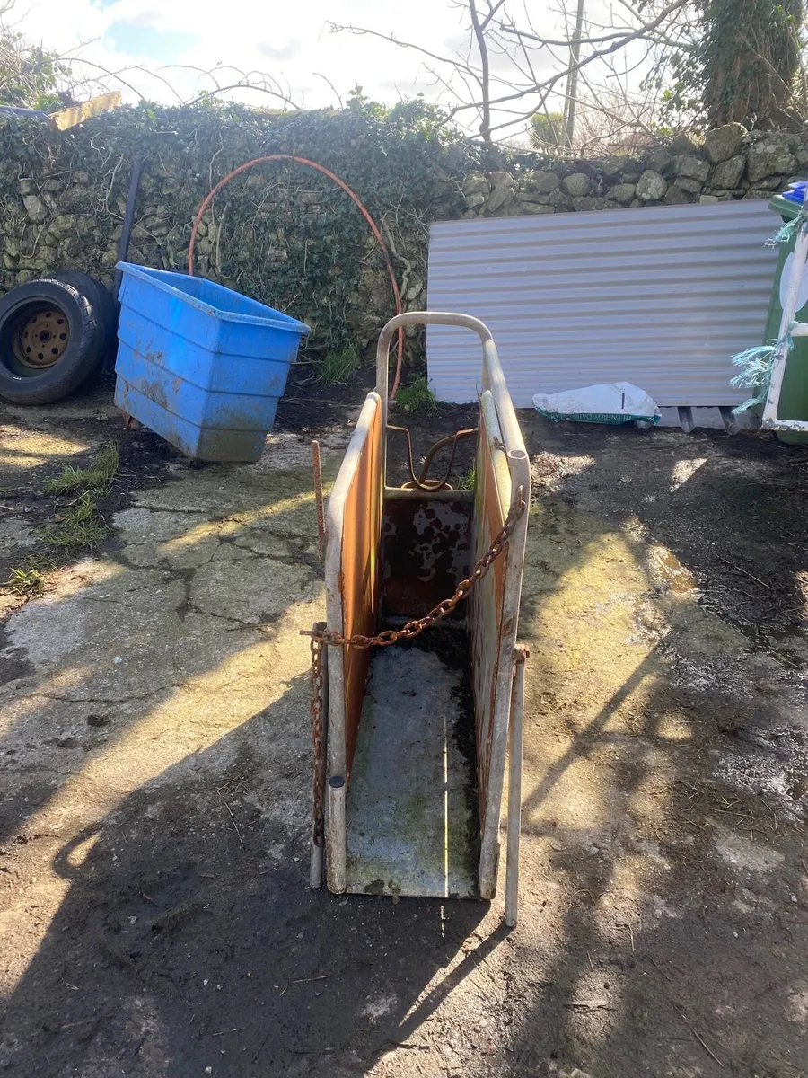 Dehorner for calfs - Image 2