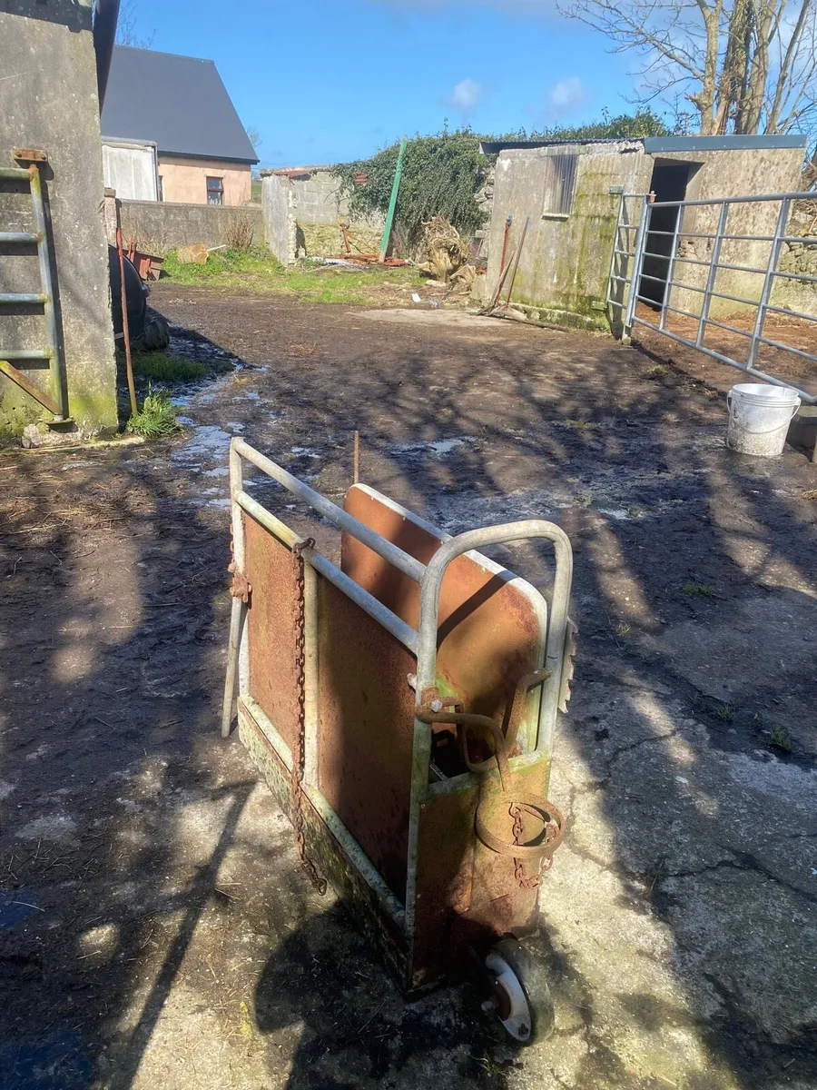 Dehorner for calfs - Image 3