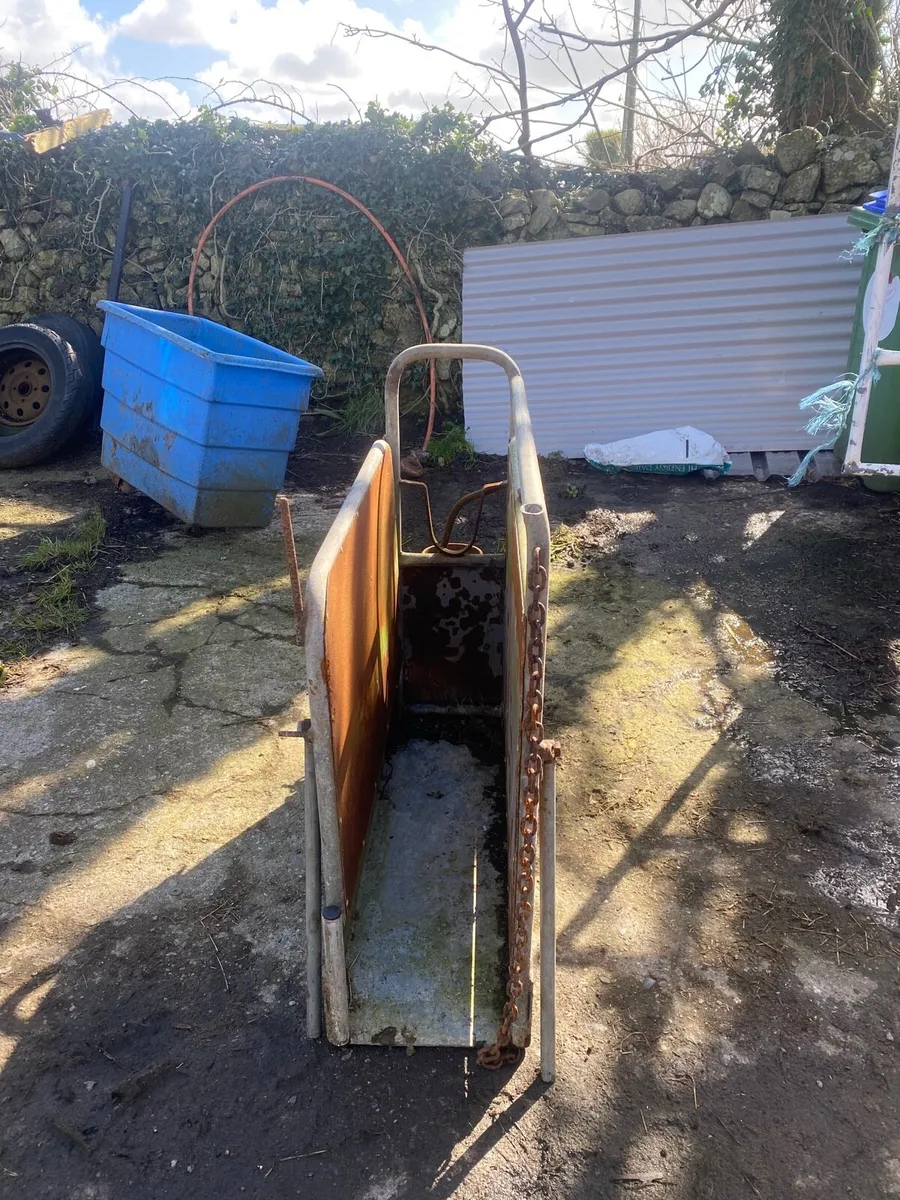 Dehorner for calfs - Image 4