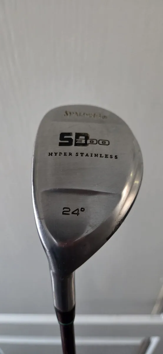 Spalding Hybrid - Image 1