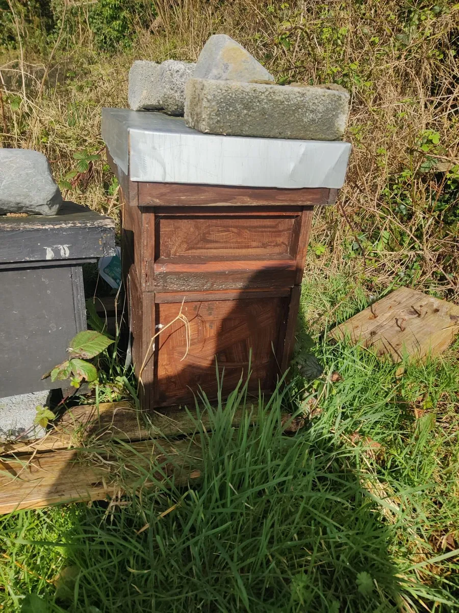 AMM Nuc for Sale - Image 1