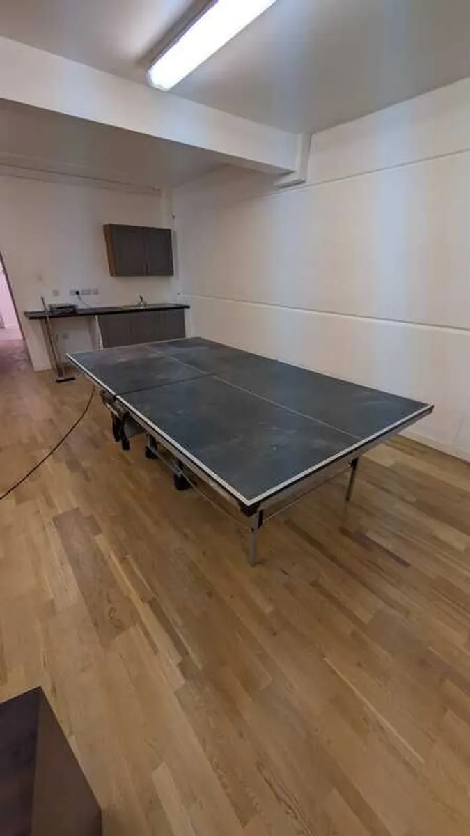 Folding Butterfly Table Tennis Table - Image 1