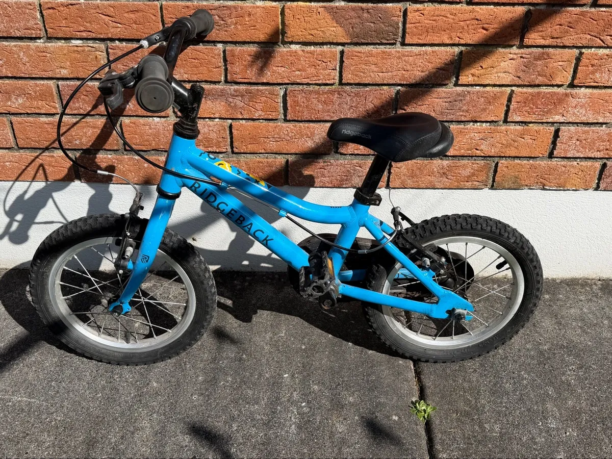 Kids Ridgeback 14 Inch Bike