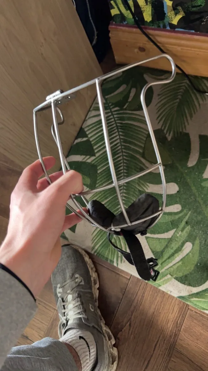 Oldstyle Gaurd - Image 2