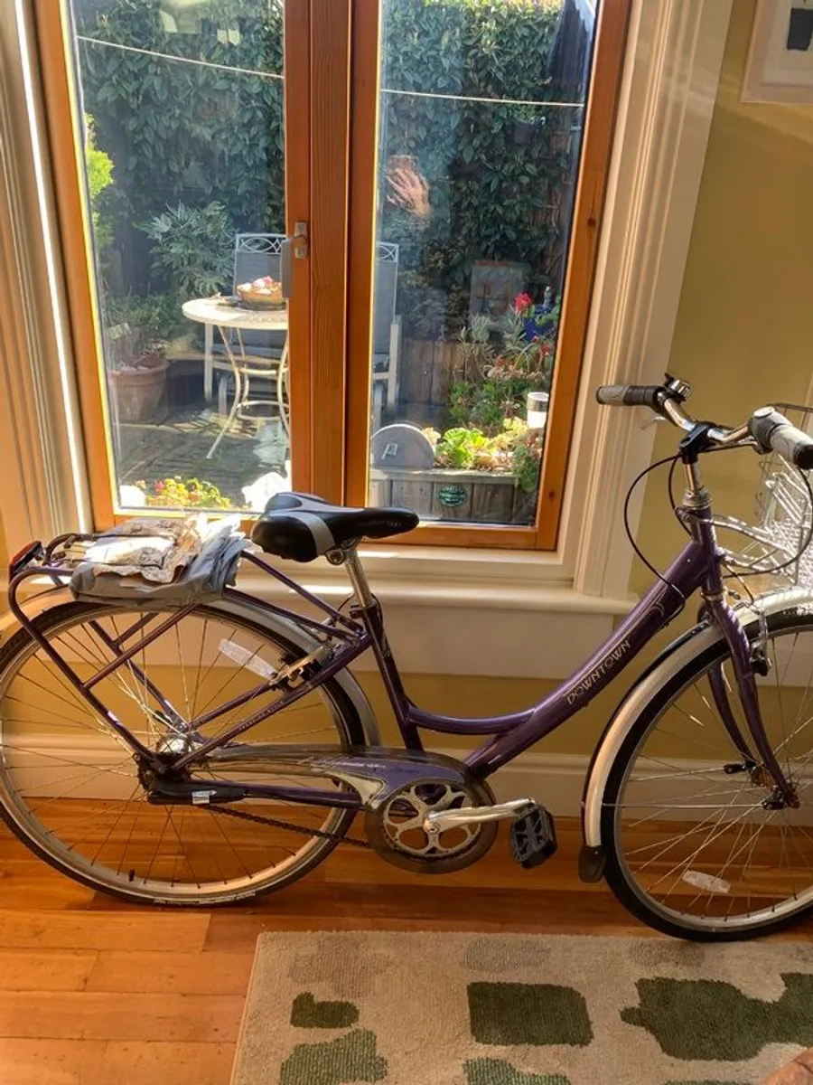 Ladies Downtown Bicycle for Sale