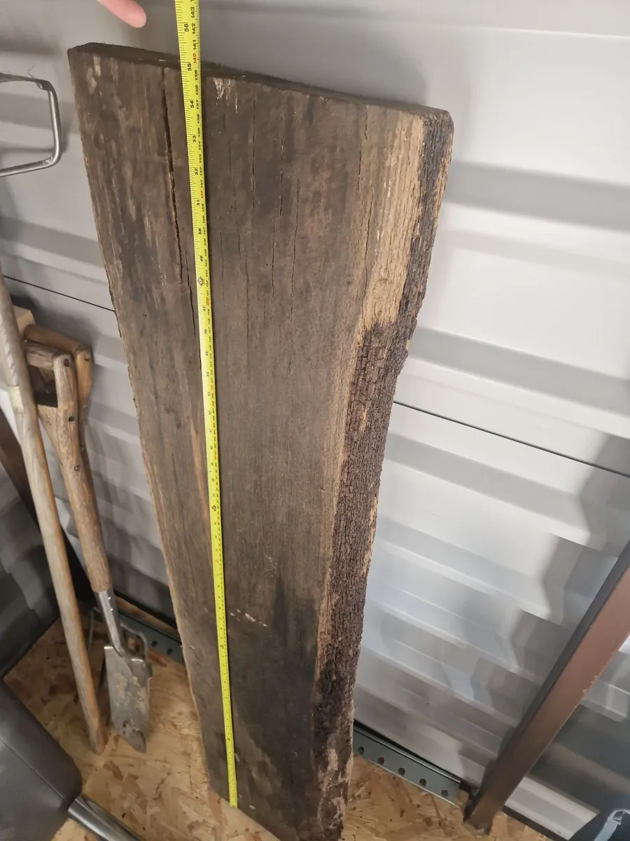 Bog Oak plank - Image 1