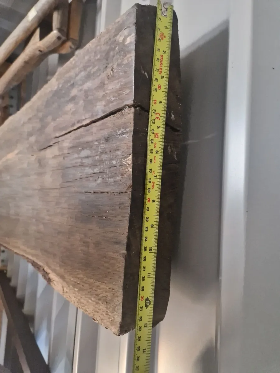 Bog Oak plank - Image 3