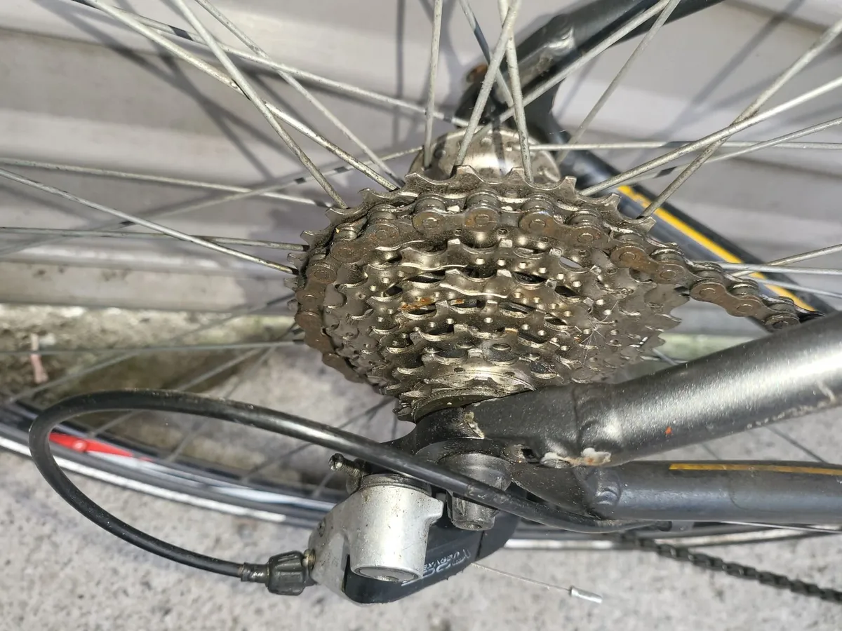 24 speed specialized lightweight racer - Image 4