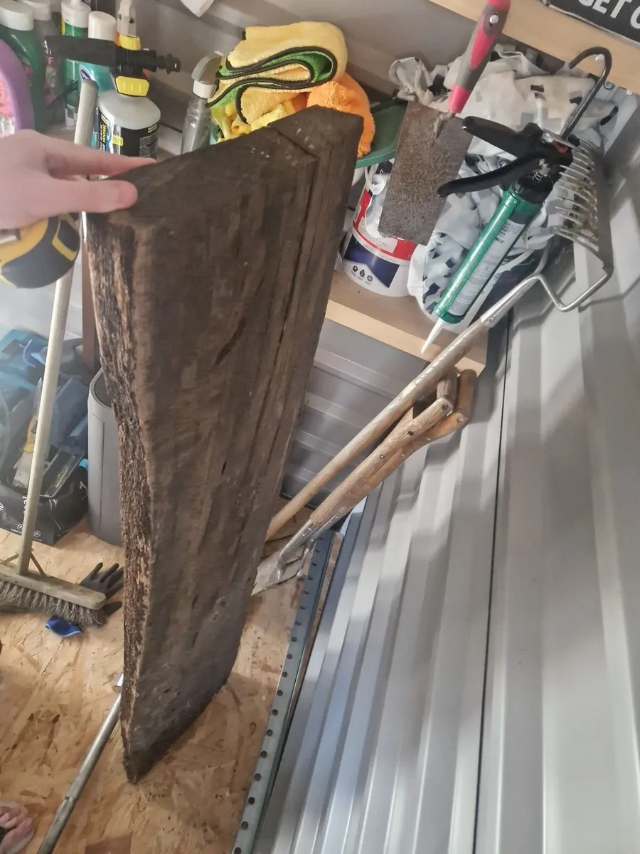 Bog Oak plank - Image 4