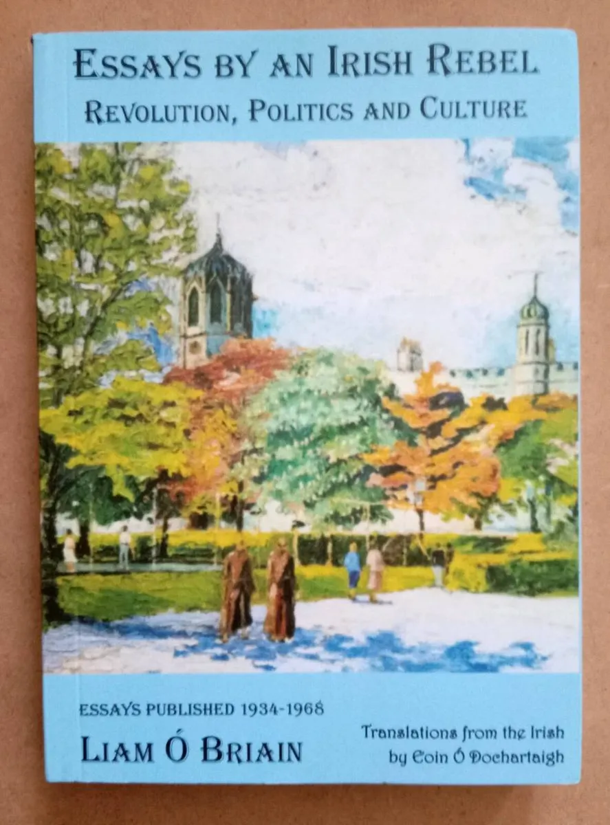 Essays By An Irish Rebel Book - Image 1