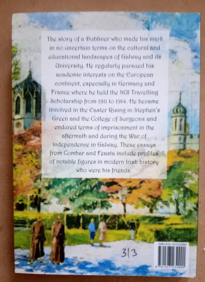 Essays By An Irish Rebel Book - Image 2