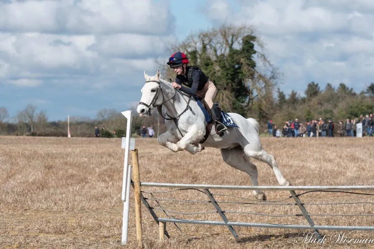 17yo Pony - Image 3