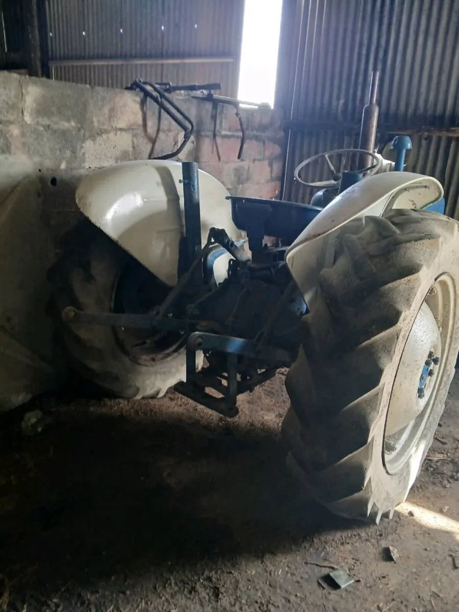 Standard Dexta Tractor - Image 2