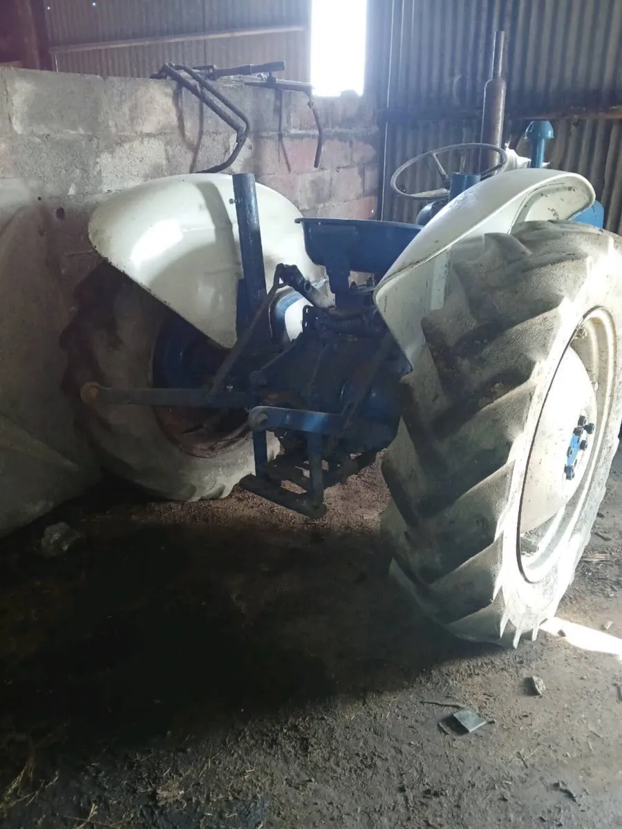 Standard Dexta Tractor - Image 3