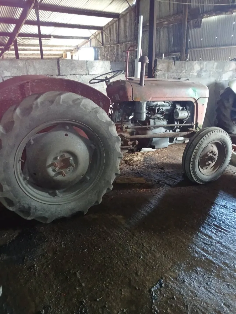 Massey Ferguson 25X - Image 3