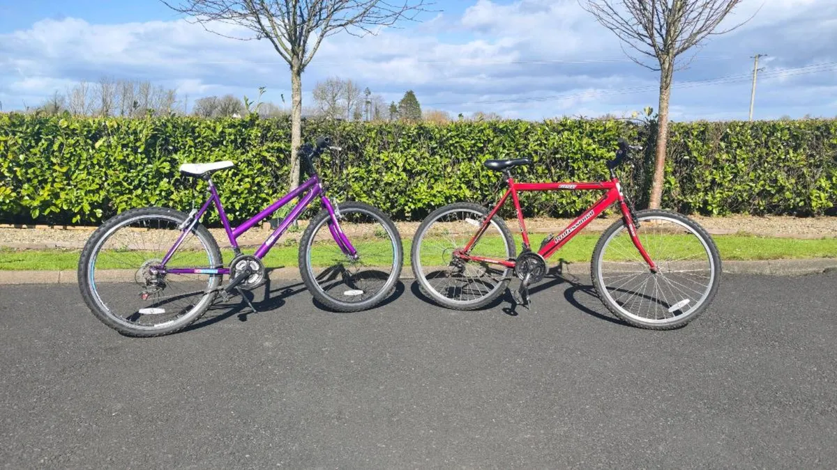 Boys & Girls Bicycles - Image 1