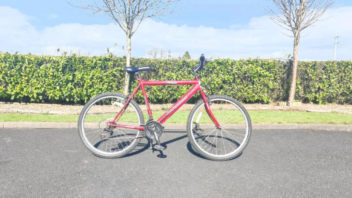 Boys & Girls Bicycles - Image 3