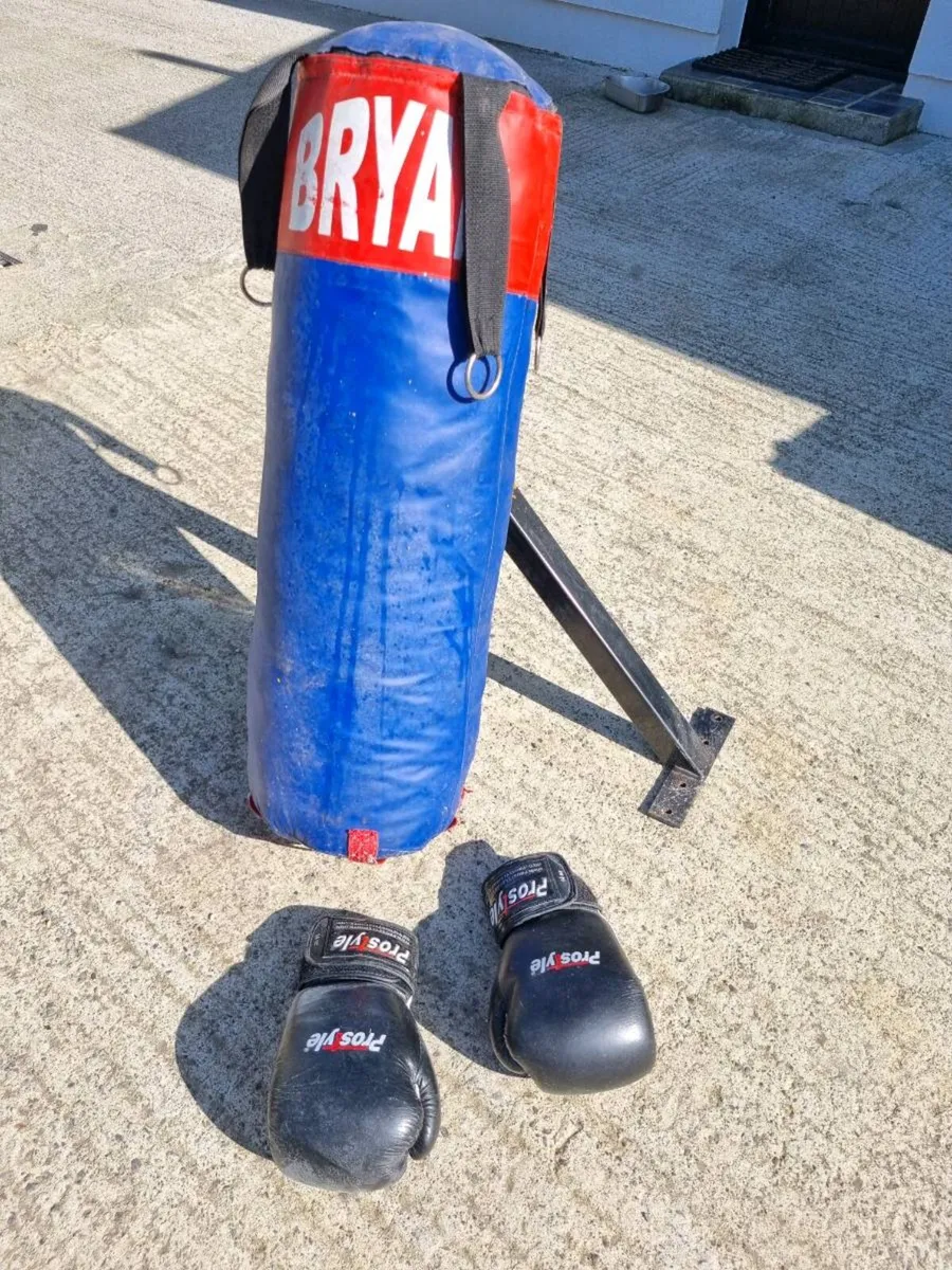 Boxing bag - Image 1
