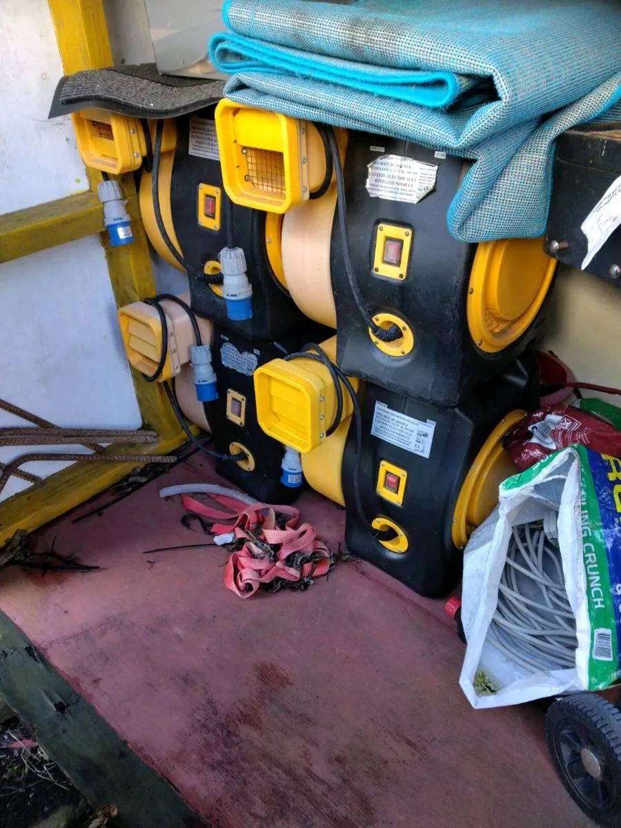 bouncy castle crocodile - Image 1