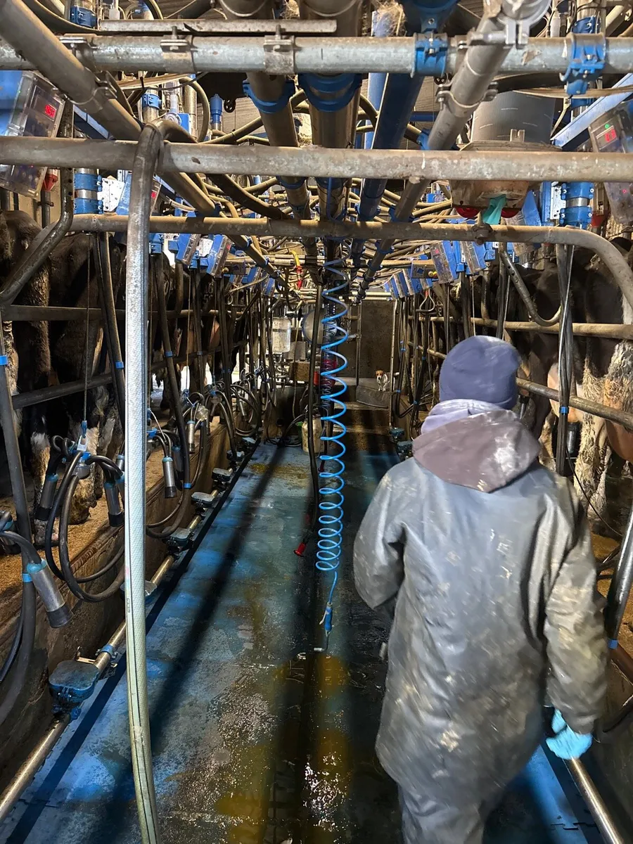 Relief milking