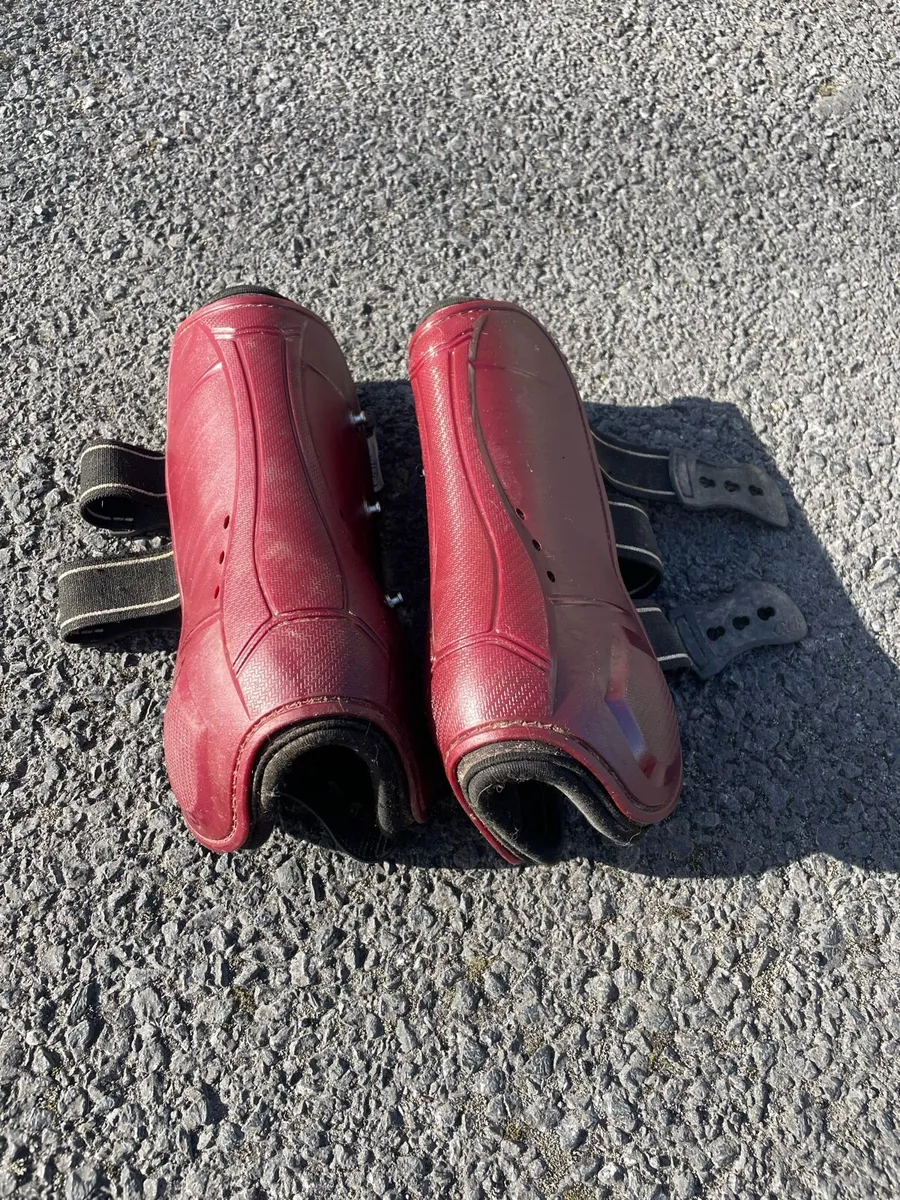 Equestrian stuff - Image 3