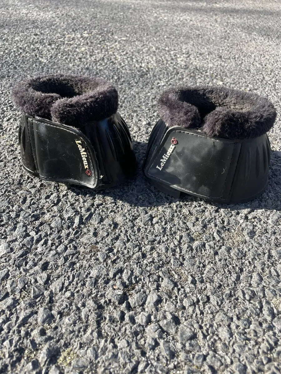 Equestrian stuff - Image 2