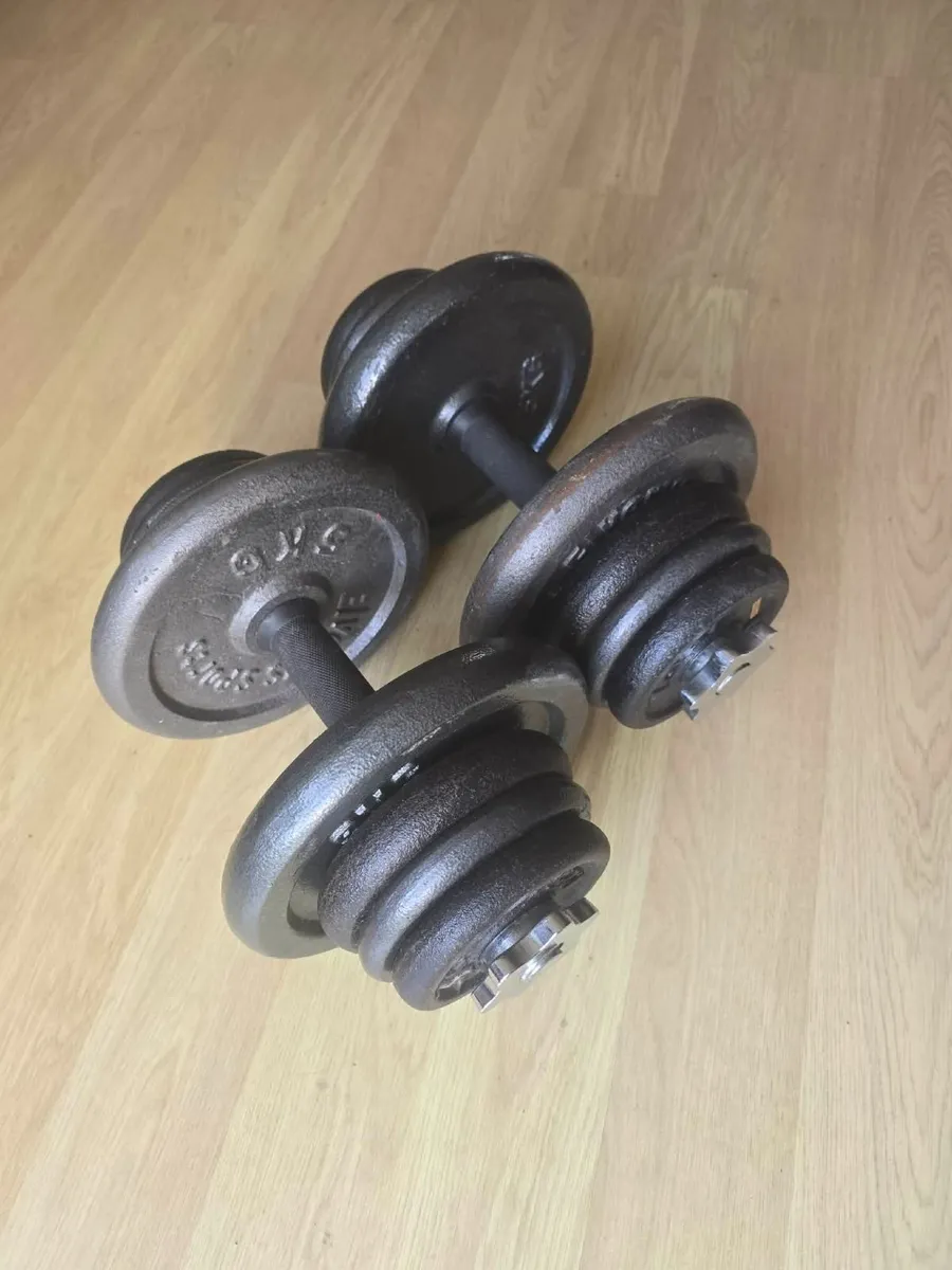 Dumbbells 2×21kg