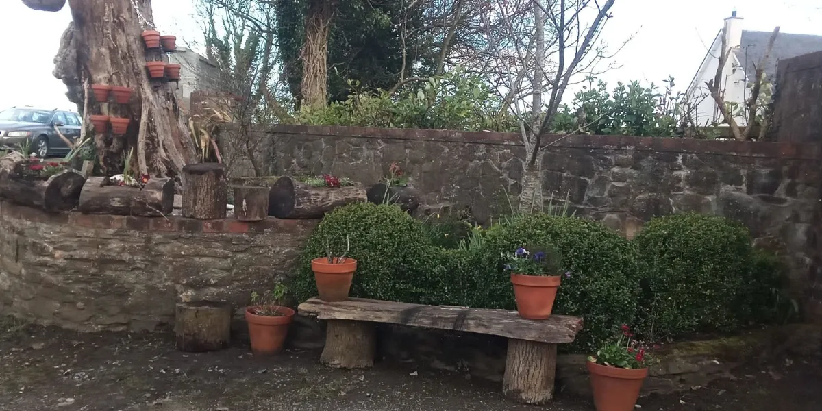 Ash Logs, Tree stumps and Planters for *SALE * - Image 1