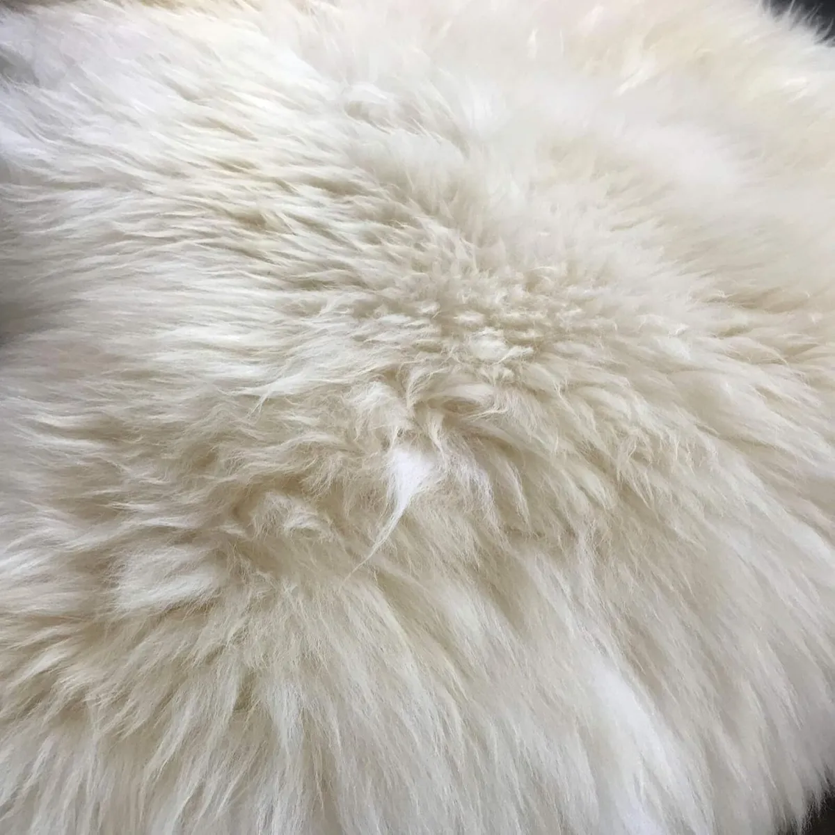 - Luxurious Sheepskin Rug Creamy White Opulent - Image 4