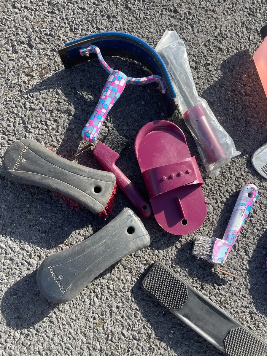 Equestrian stuff - Image 3