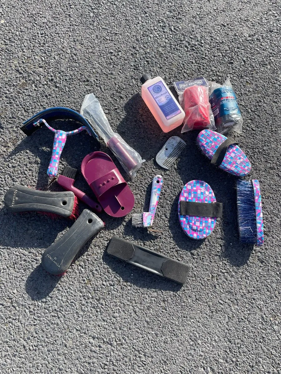 Equestrian stuff - Image 1