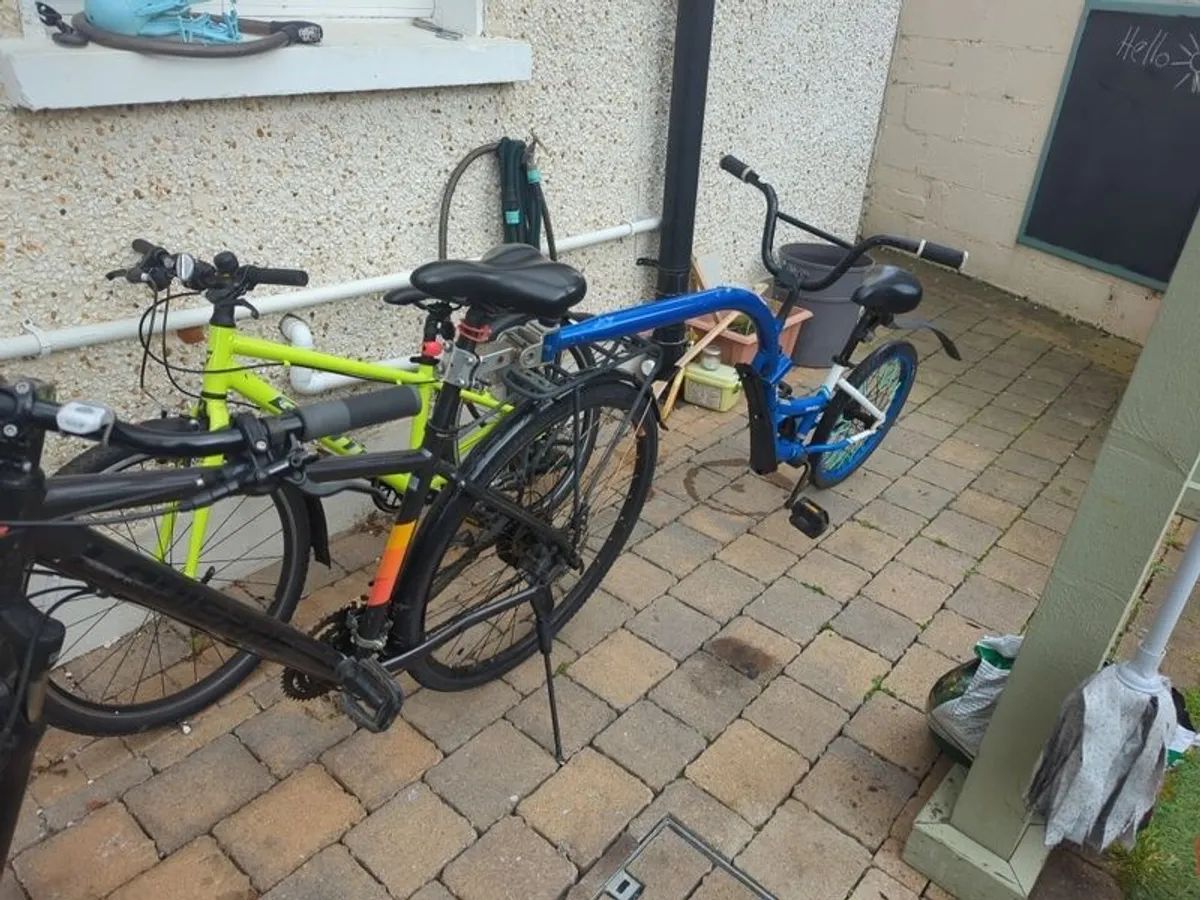 Blue WeeRide link Tag-along Bike. Kids Bike - Image 2