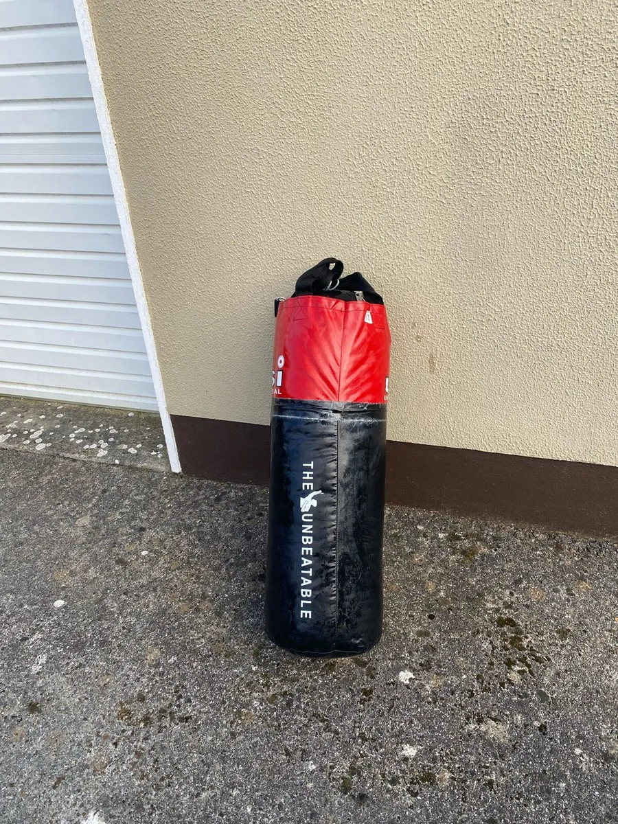 Boxing bag - Image 2