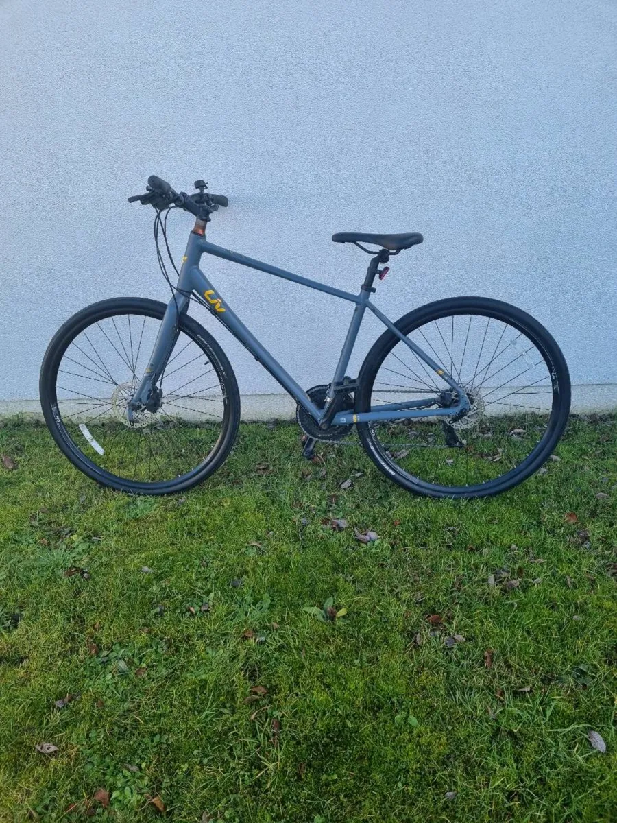 Bicycle LIV - Image 1