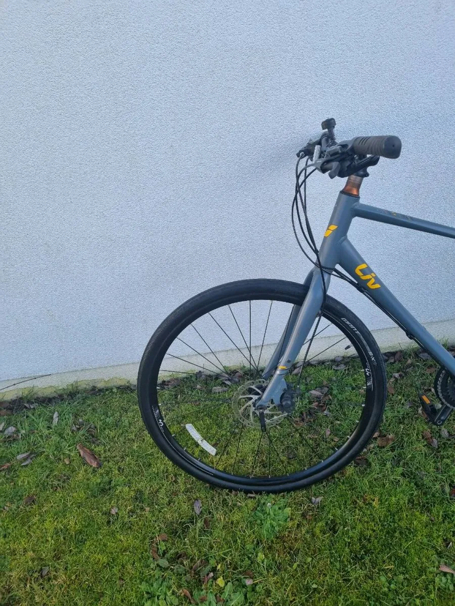 Bicycle LIV - Image 2