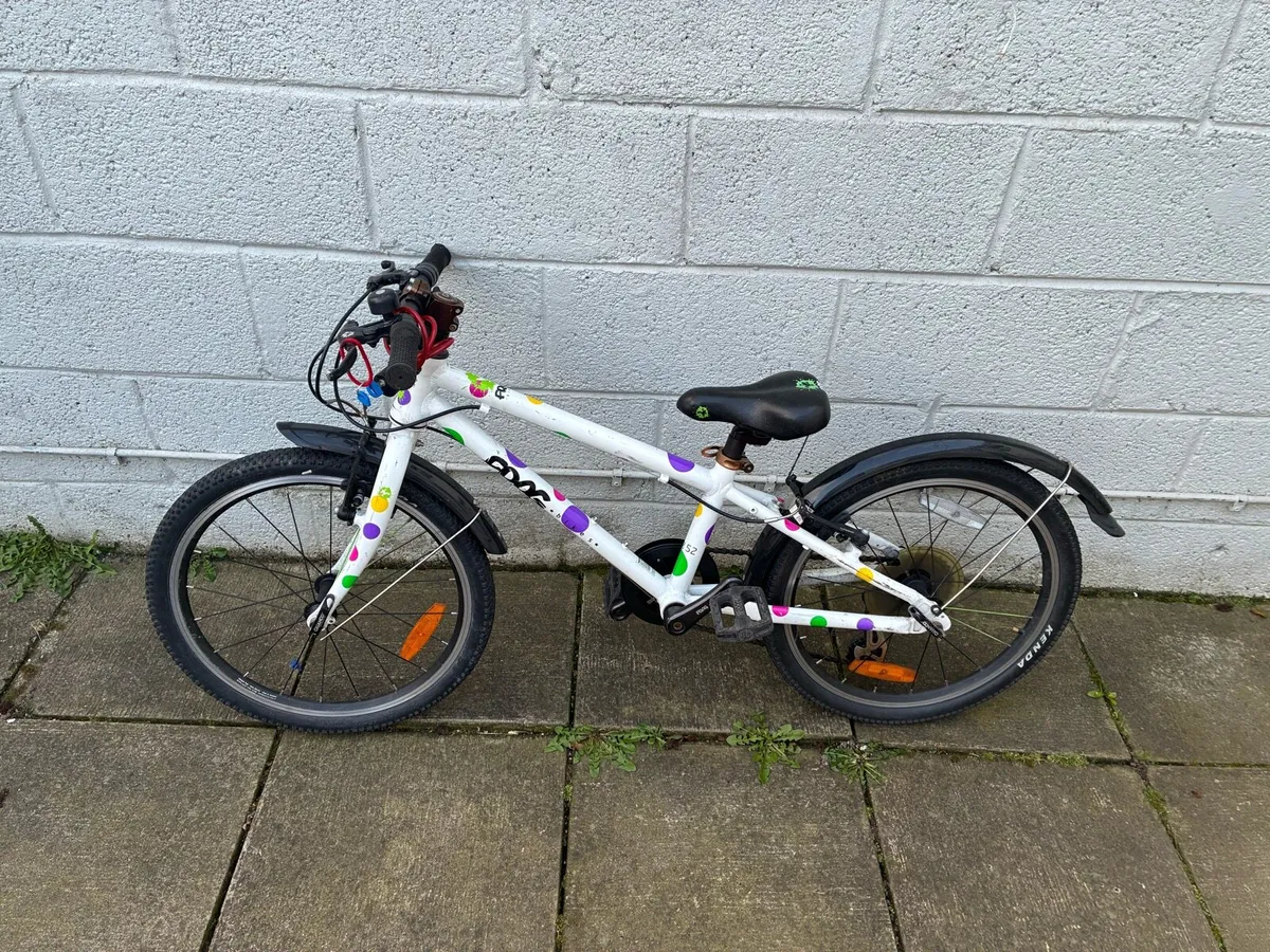 Kids Frog Bike 47