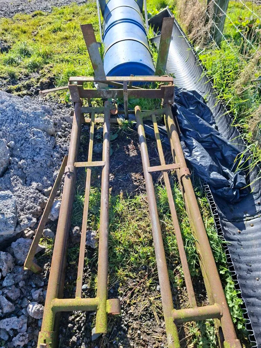 Cattle Crush Head Lock Gate