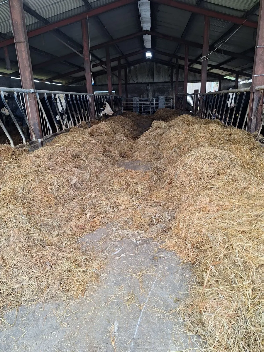 Silage Bales - Image 2