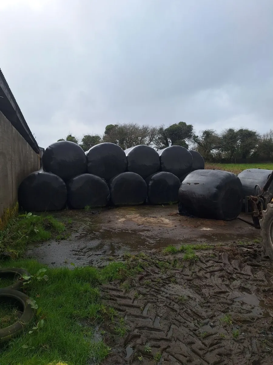 Silage Bales - Image 1
