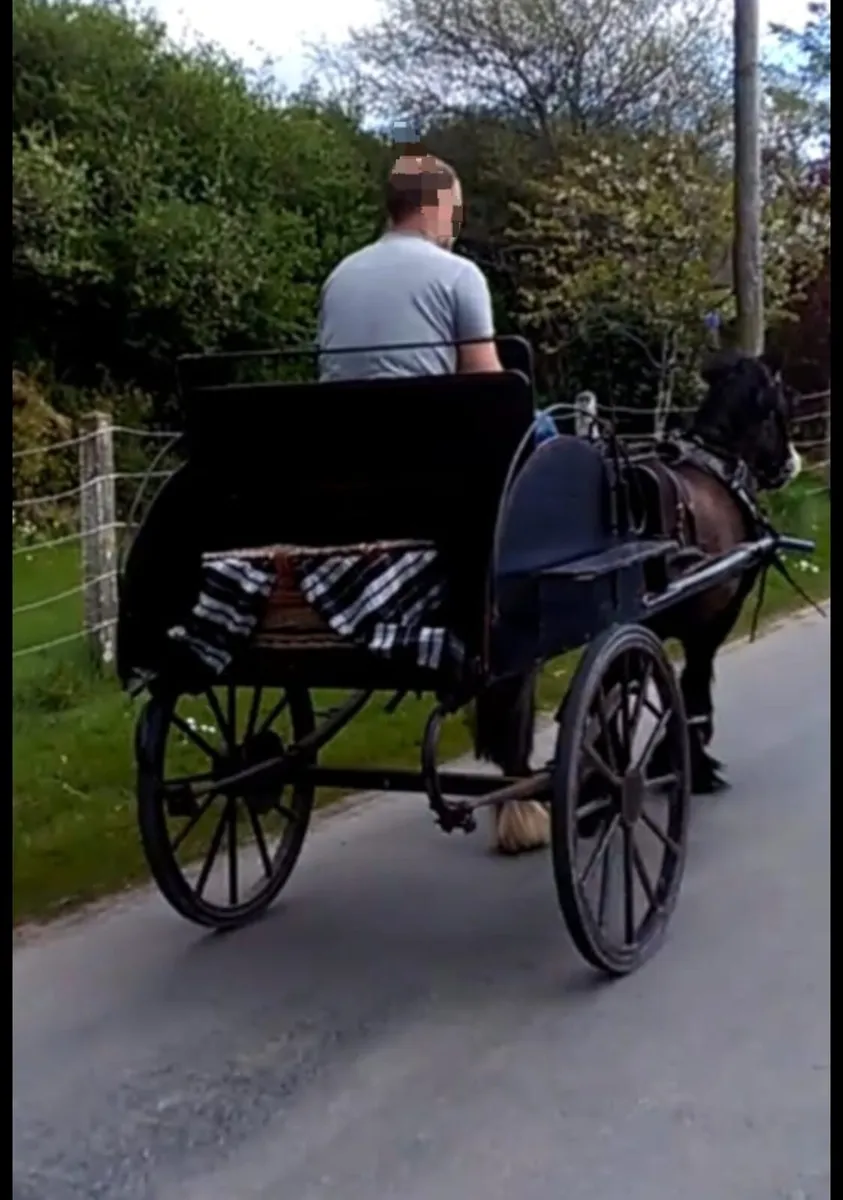 Horse Cart - Image 1