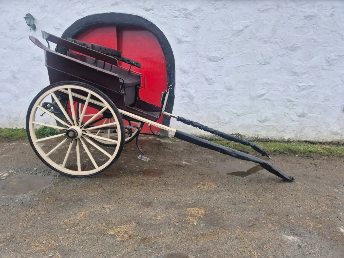 Back to Back  Show Gig - Image 1