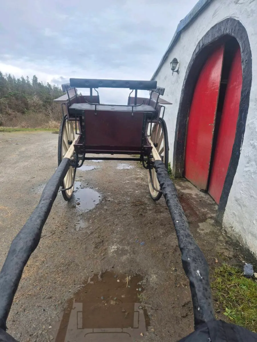 Back to Back  Show Gig - Image 3