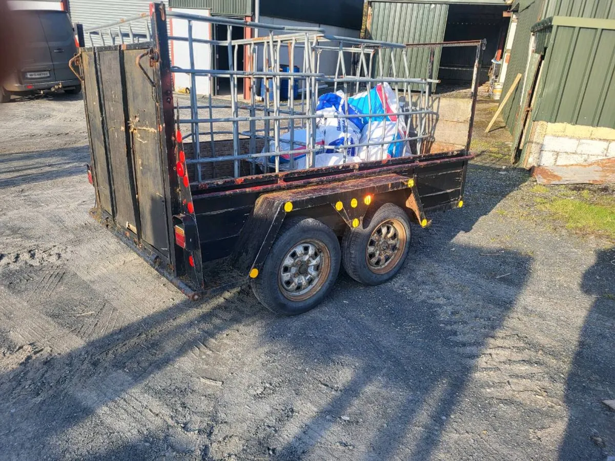 8x4 double axel trailor - Image 2