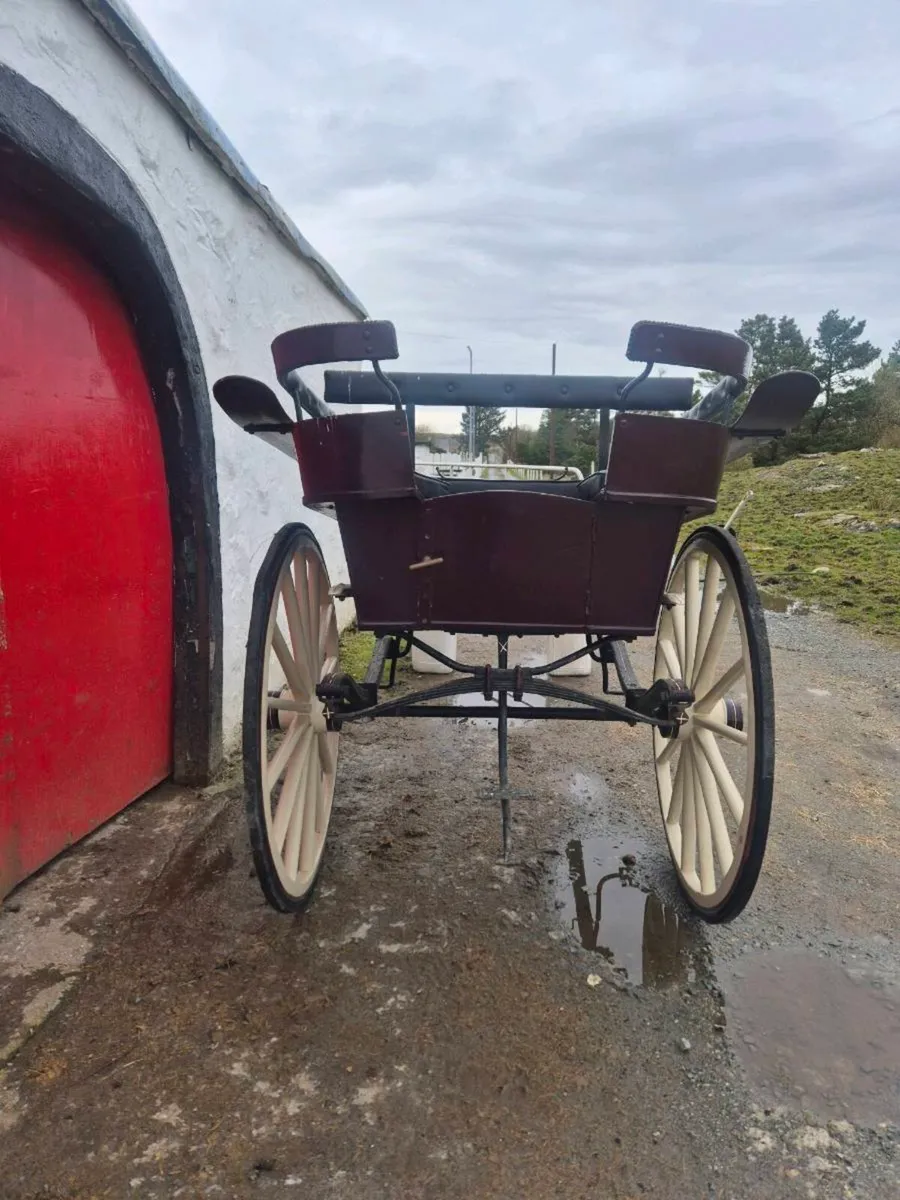 Back to Back Show Gig - Image 2