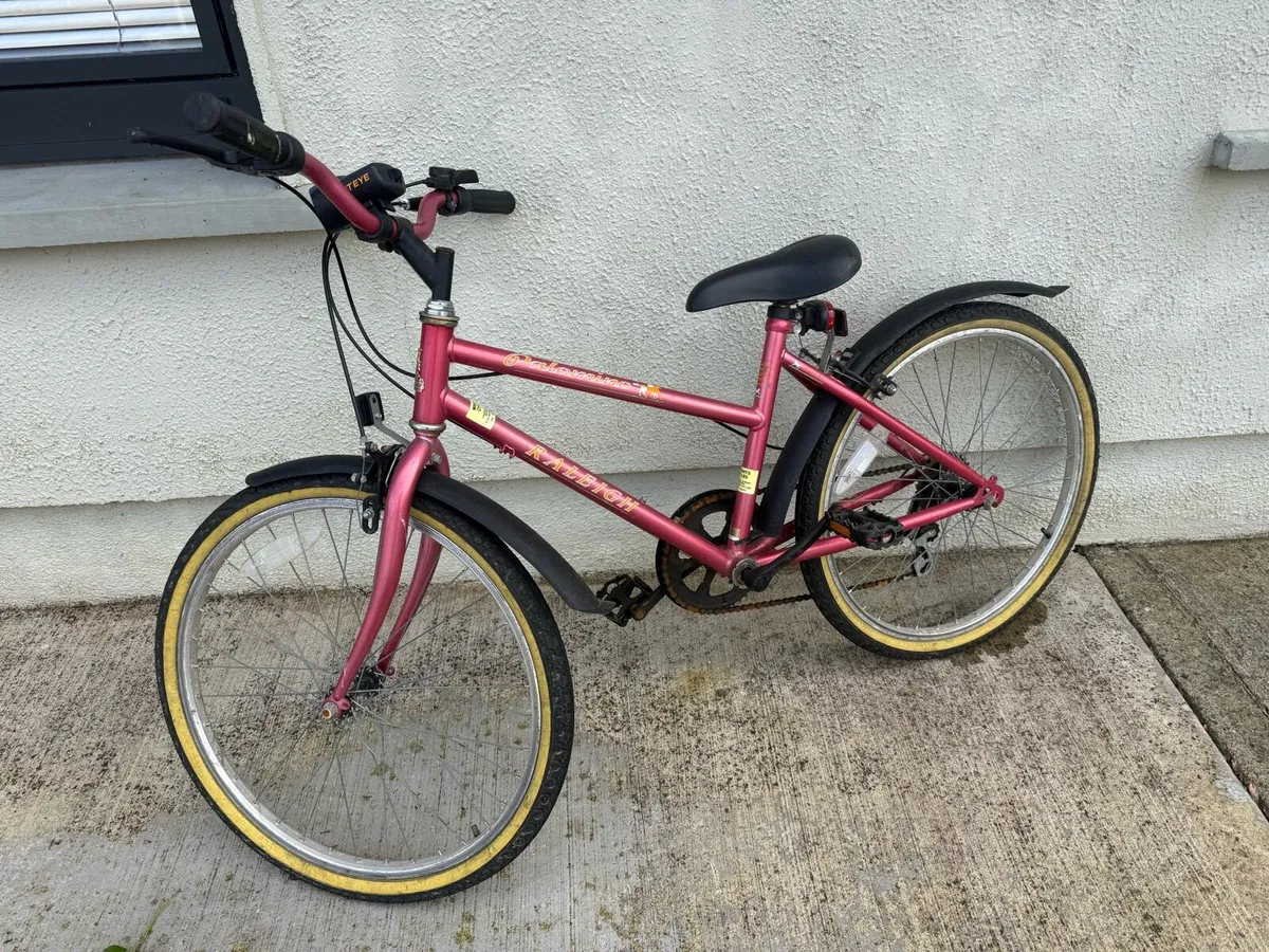 Raleigh Palomino Girls Bike - Image 2