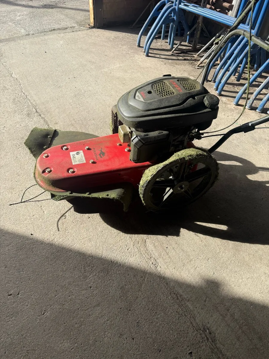 Wheeled Stimmer - Image 3