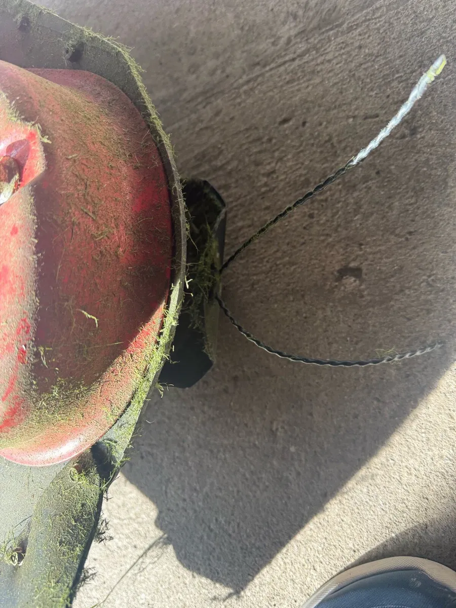 Wheeled Stimmer - Image 4