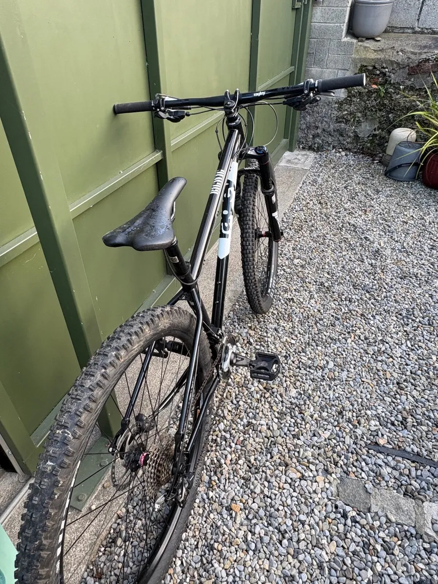 Ragley Bigwig  Hardtail - Image 4