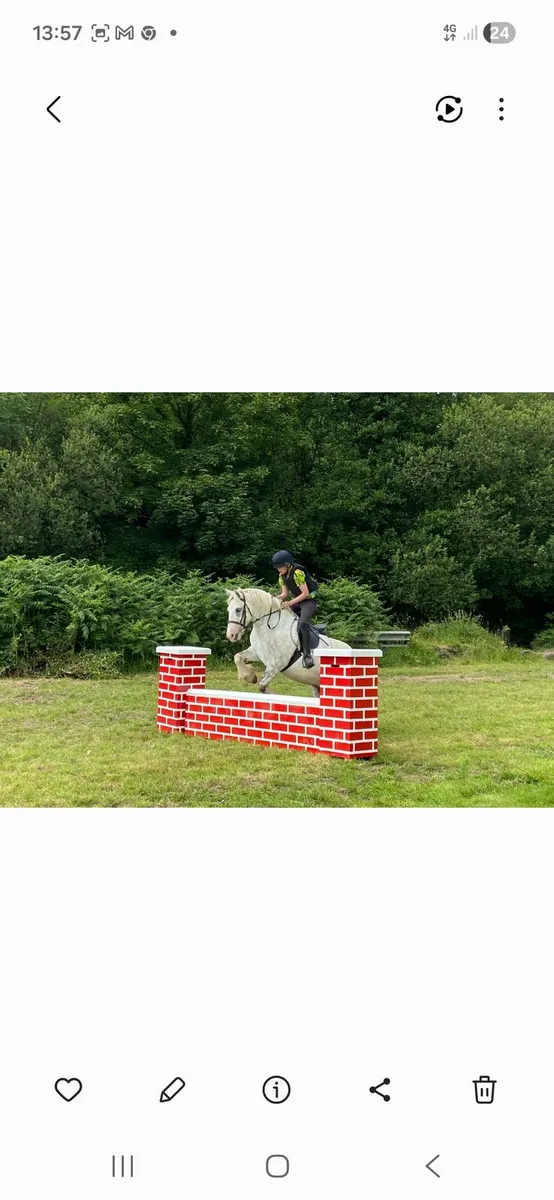 Pony Club Pony - Image 4