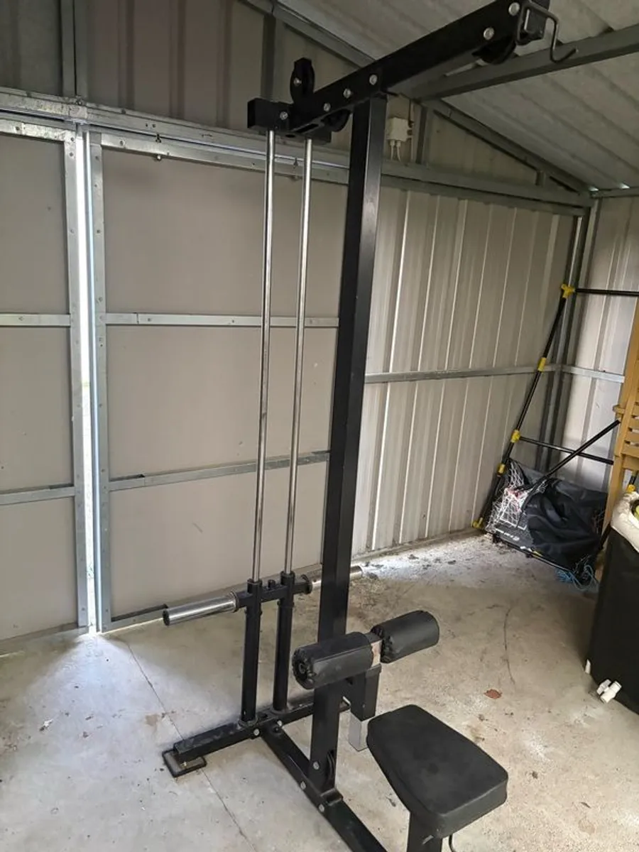 Back/Tricep/Bicep Machine for sale - Image 2